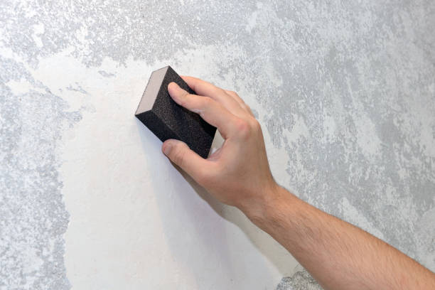 Best Industrial Mold Remediation  in Fredonia, WI