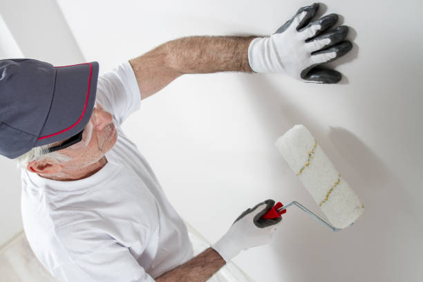 Professional Mold Removal in Fredonia, WI