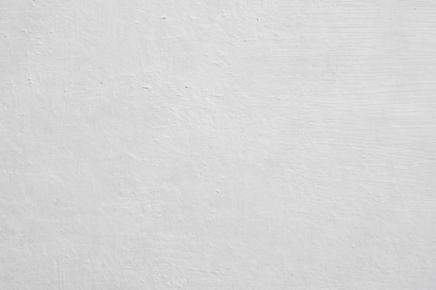 Best Mold Prevention Services  in Fredonia, WI